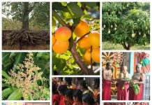 பொறையார் மேல்மருவத்தூர் ஆதிபராசக்தி மன்றம் சார்பில் மதியம் மற்றும் இரவு உணவு தினமும் ஆதரவற்றோர் மற்றும் மனித நேயம் அரவனைப்பு இல்லத்துக்கும் வழங்கபடுகிறது ..