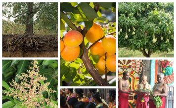 முத்தான அருள்வாக்கு முத்துக்கள்