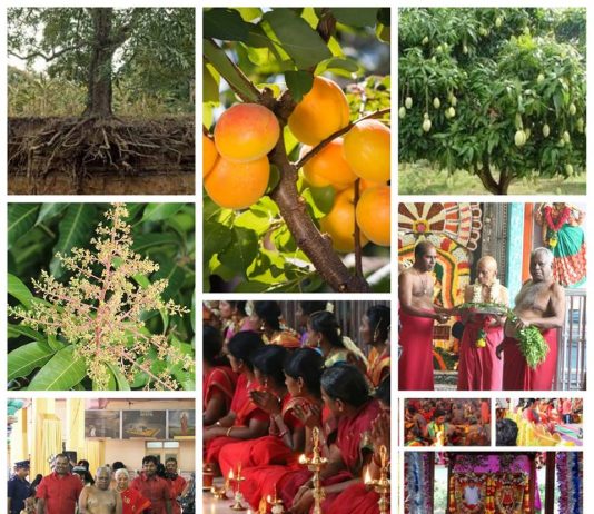 சிறப்பு அபிடேகம், அலங்காரம்: மேல்மருவத்தூர் ஆதிபராசக்தி சித்தர் பீடத்தில் இருந்து நேரலை